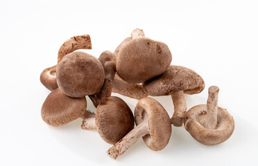 A bunch of shiitake mushrooms are isolated on white background. Selective focus.