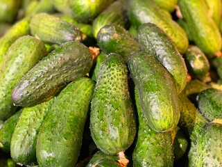 cucumbers in a market