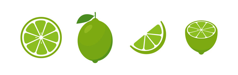 Lime with green leaves isolated on white background. Raw vegetarian food. Lime whole, half and slice vector illustration.