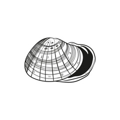 Hand-drawn, engraved line illustrations of realistic mollusk shells in various forms. Perfect for marine-themed designs. Black and white sketches on a navy peony background, including starfish.