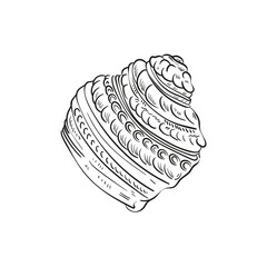 Hand-drawn, engraved line illustrations of realistic mollusk shells in various forms. Perfect for marine-themed designs. Black and white sketches on a navy peony background, including starfish.