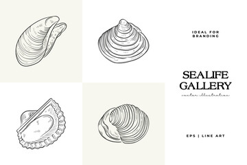 Hand-drawn vector set featuring realistic sketches of various marine seashells and starfish in black and white. Ideal for underwater-themed designs.