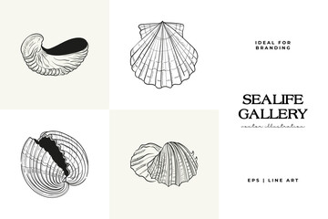 Hand-drawn vector set featuring realistic sketches of various marine seashells and starfish in black and white. Ideal for underwater-themed designs.