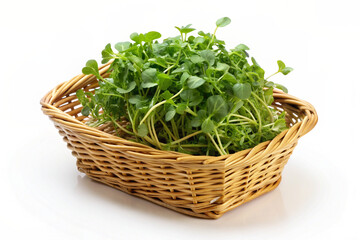 Fototapeta premium watercress in a basket isolated on white backgroun