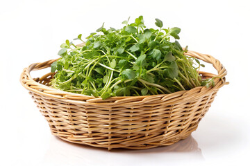 Fototapeta premium watercress in a basket isolated on white backgroun