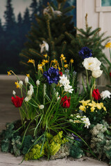 Colorful flower garden with a white and red tulip in the foreground