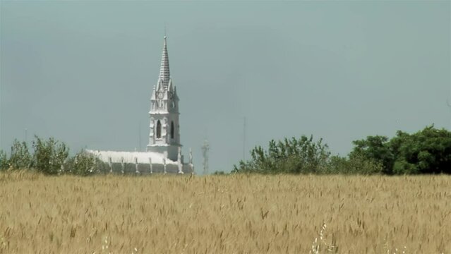 A Wheat Field and the Dome of San Jose Church in the Distance in the Province of Entre Rios, Argentina.