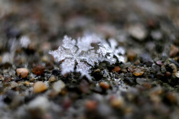 Snowflake beauty background. Macro closeup.