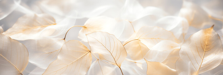 Ethereal white leaves with delicate veins background banner. Panoramic web header. Wide screen wallpaper.