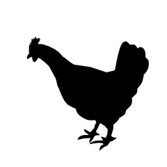 silhouette of a hen