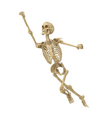 structural skeleton is flying up