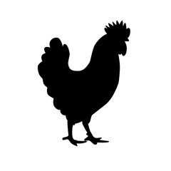 silhouette of a hen