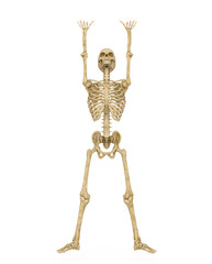 structural skeleton is stretching