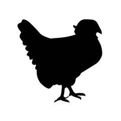 silhouette of a hen