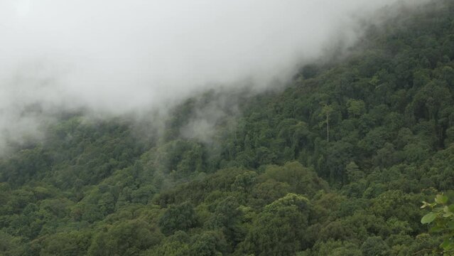 view of the mountain range hill with greenery rain forest and mist cloud fog windy flow over the mountain range in winter daytime