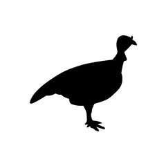 poultry Silhouette for Art Illustration