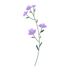 Meadow lilac spring flower with leaves. Purple petals. Hand drawn vector, wild, botany.	