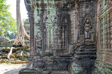 Ta Prohm temple at Angkor Thom complex, Siem Reap, Cambodia