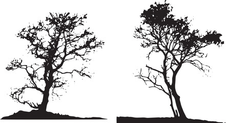Set of Silhouette Black and Branches Tree Vector illustration. Black and White Silhouette tree vector collection.