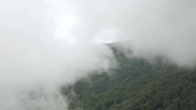 view of the mountain range hill with greenery rain forest and mist cloud fog windy flow over the mountain range in winter daytime