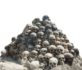 Pile of human skulls. Transparent background PNG. Pen tool cutout. Horror concept. Halloween season decoration. Stacked skulls in a large pile of bones. Large pile of bones. Shallow grave. 