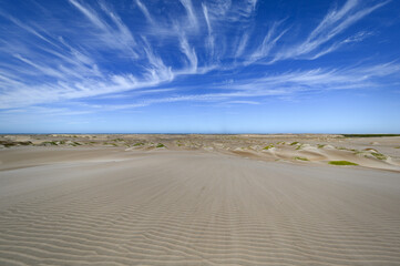 Fototapeta na wymiar Dunes Isla Magdalena