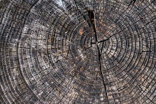 Altholzbalken mit verwitterter Holzstruktur.