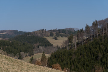 Obraz premium Landscape view with cleared forrest in the german area called Rothaargebirge near the city Bad Berleburg