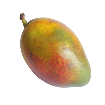 African Mango isolated on white background
