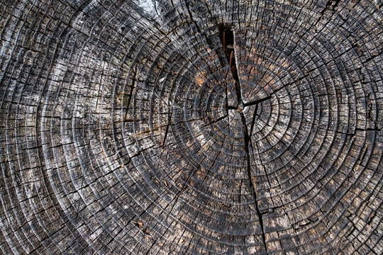 Altholzbalken mit verwitterter Holzstruktur.
