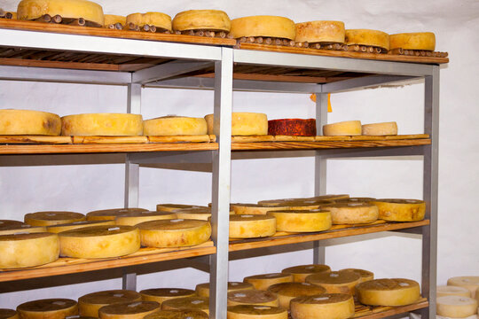 Estanterías con queso de Lomo del Palo en el municipio de Gáldar en la isla de Gran Canaria, España