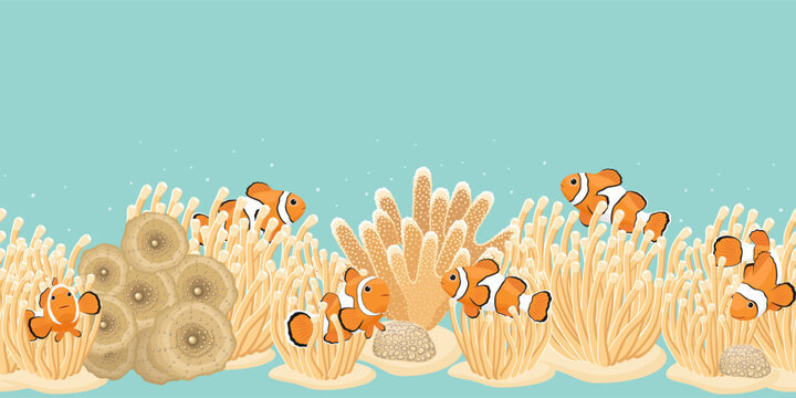 Sea anemones, clownfish and corals. Vector illustration.