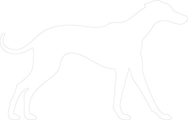 Greyhound outline