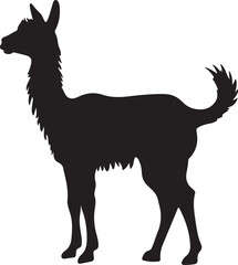 Llama Silhouette Vector Illustration White Background