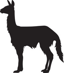 Llama Silhouette Vector Illustration White Background