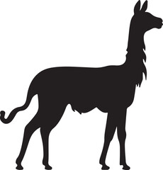 Llama Silhouette Vector Illustration White Background