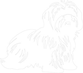 Lhasa Apso outline