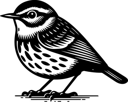 recommend clip art: Canada Warbler icon
