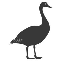 Obraz premium Silhouette goose animal black color only full body