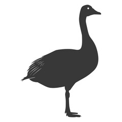 Silhouette goose animal black color only full body