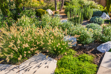 Backyard with fantastic landscaping, patio, drought resistant plants