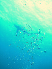 Fuchshai Malapascua Treshershark