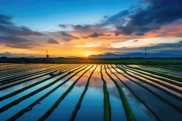 Rolgordijnen A breathtaking view of the sun setting over rice paddies, creating stunning reflections in the water filled terraces under a colorful sky © gankevstock