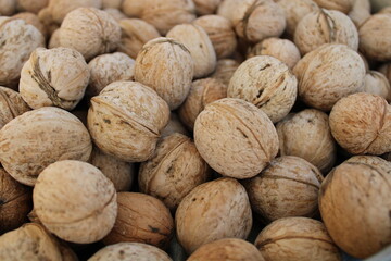 shelled walnuts. Pile of unshelled walnuts in daylight. walnut background.