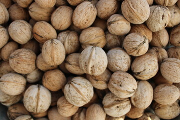 shelled walnuts. Pile of unshelled walnuts in daylight. walnut background.