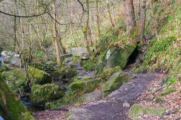 Obraz premium moss covered rocks