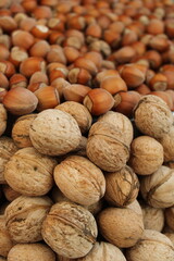 shelled walnuts and hazelnuts. Heap of shelled walnuts and hazelnuts in daylight. walnuts and hazelnuts background. Heap of hazelnuts and walnuts
