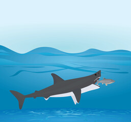 Big shark eat small fish. vector