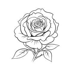 vector drawings of rose. illustration, coloring page design
