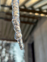 Icicle with water flowing down it, close-up